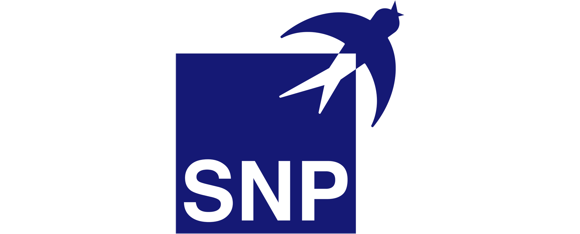 SNP Group Logo SNP Group Logo